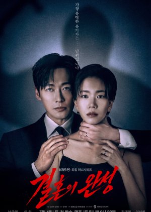 The Husband (2026) Episode 12